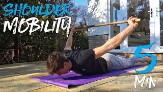 5 Minute Upper Body Mobility Routine! (FOLLOW ALONG)