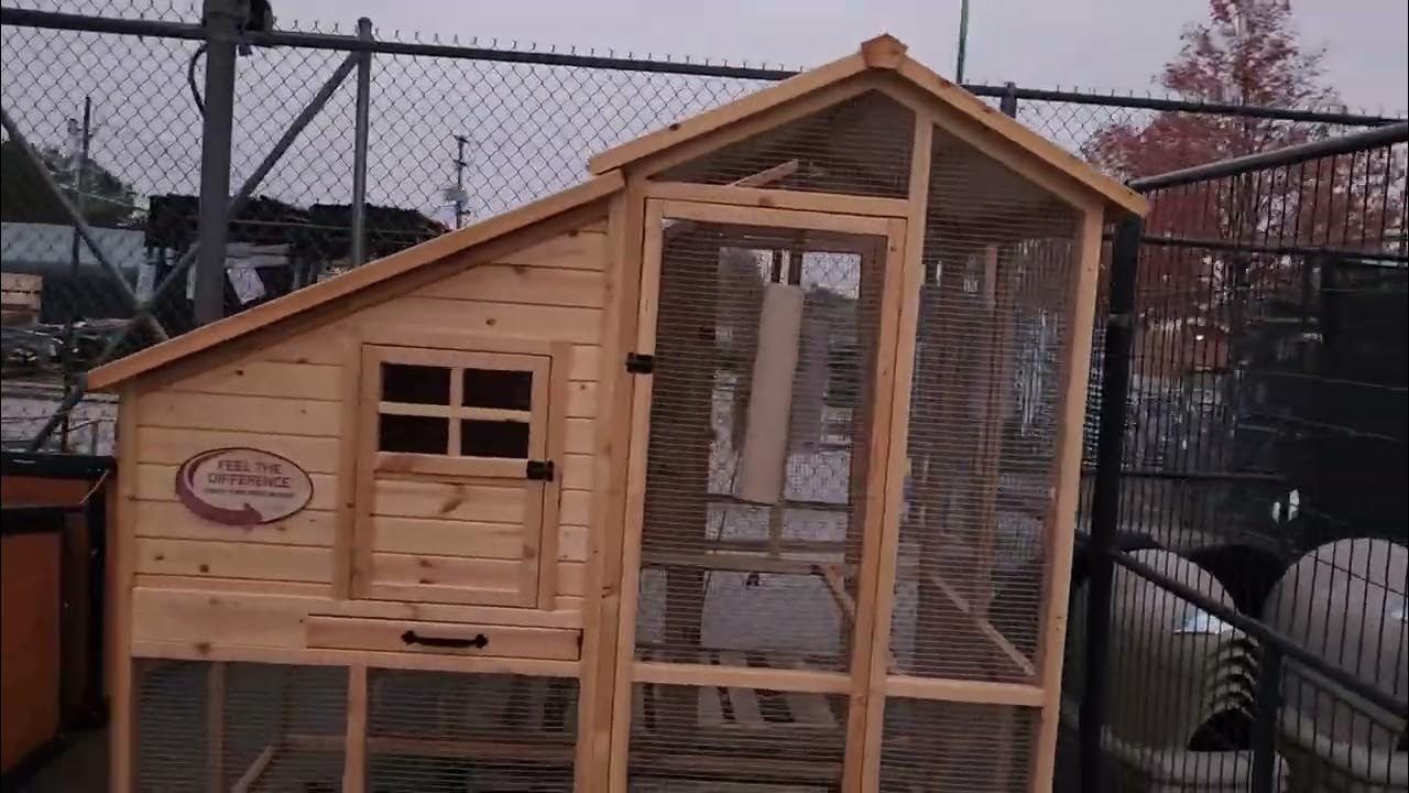 600.00 Chicken Coop TSC YouTube