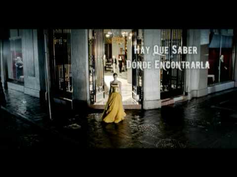 El Palacio de Hierro (Campaña 2009)