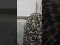 قناة طه 