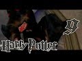 9 Прохождение Гарри Поттер и Философский Камень PS1