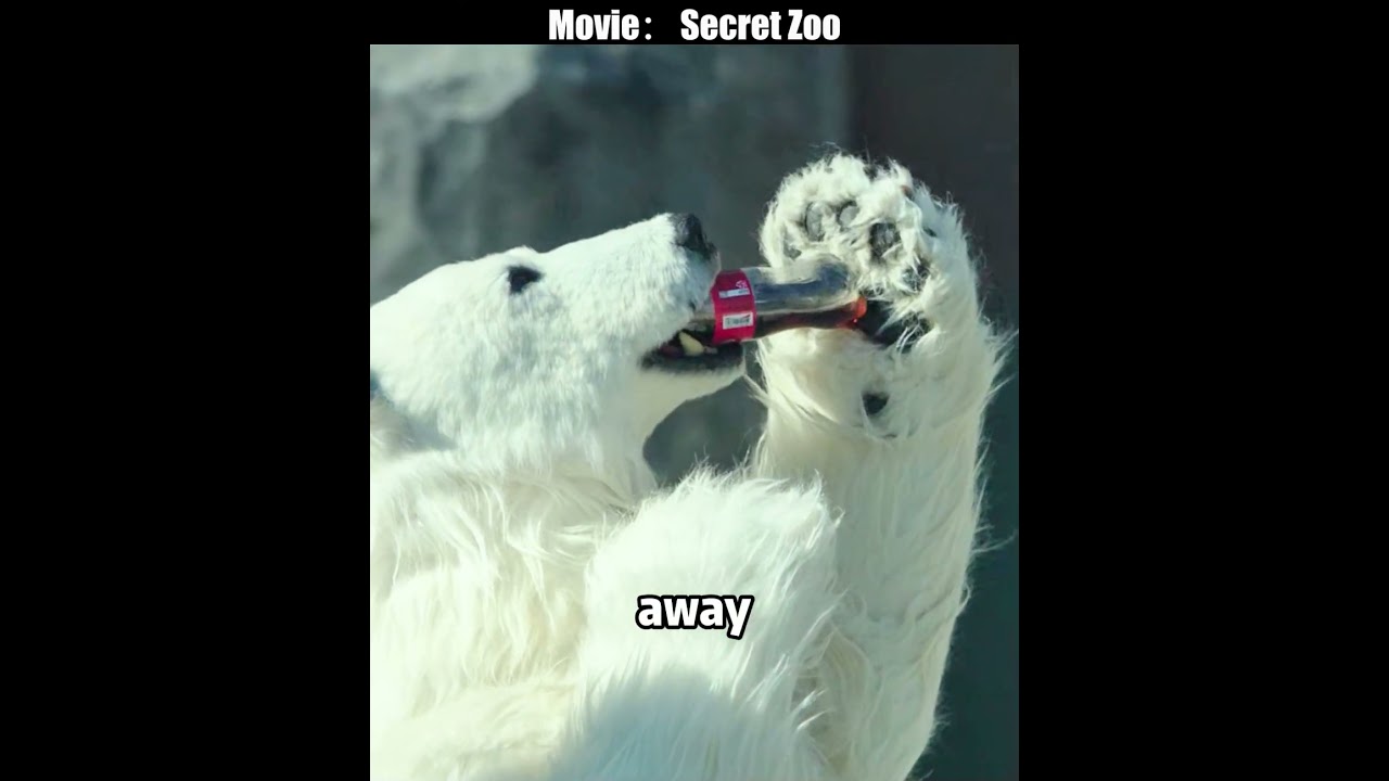 This polar bear loves to drink cola. #shorts #movie #film #koreandrama