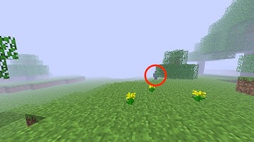 Minecraft Herobrine sighting (alpha 1.0.16_02)
