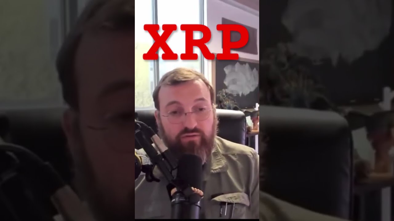 XRP SEND IT TO 1000 