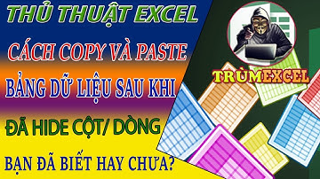 THỦ THUẬT EXCEL- Cách COPY & PASTE bảng dữ liệu sau khi đã hide cột/dòng - TRÙM EXCEL