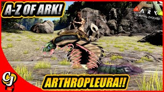 A-Z Of Ark! The ARTHROPLEURA And How It's Better Than C4!! || Ark Survival Evolved! A-Z Of Ark! The ARTHROPLEURA And How It's Better Than C4!! || Ark Survival Evolved!