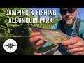 Algonquin Park 5 Day Solo Canoe Camping | Part 1 | Catch & Cook Brook Trout