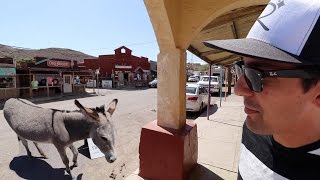Epic Ghost Town full of Donkeys & Real life Cars Land on Route 66