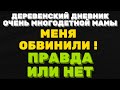 Меня обвинили ! Правда или ложь\ ДЕРЕВЕНСКИЙ ДНЕВНИК очень многодетной мамы \ мать героиня