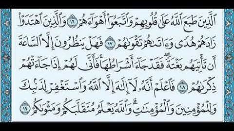 سورة محمد Surah Muhammad / Mishary Rashed Al Afasy