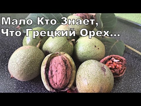 Имеет Широкое Лечебное Применение