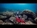 My first time in croatia for spearfishing  northern adriatic sea