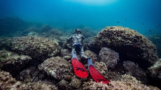 My first time in Croatia for spearfishing 🇭🇷 Northern Adriatic Sea.