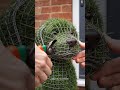 Dog 🐕 plants 🌱 #dog #shorts 
