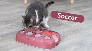 Soccer - Strategy game for cats by Trixie Heimtierbedarf by TRIXIE UK 364 views 6 months ago 1 minute, 7 seconds