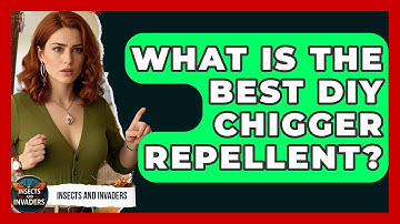 What Is The Best DIY Chigger Repellent? - Insects and Invaders