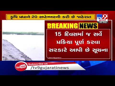 Monsoon 2020: Govt yet to begin crop loss survey in 18 districts of Gujarat | TV9News