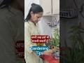 अपनी तरह इन्हे भी सजाती हूँ 🌿🌿||tips#gardeningtips #plants#shortvideo