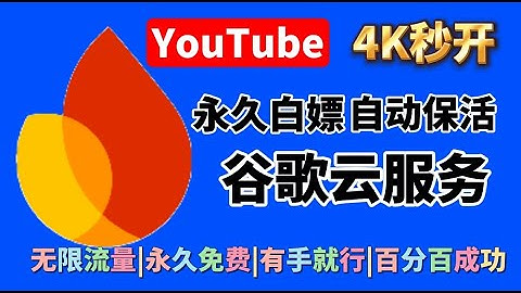 永久白嫖谷歌云服务器 |支持重置后自动启动代理节点功能 | 最简单的保活方法| 全网最详细小白教程有手就行百分百成功 | Google idx | 搭建高速代理节点