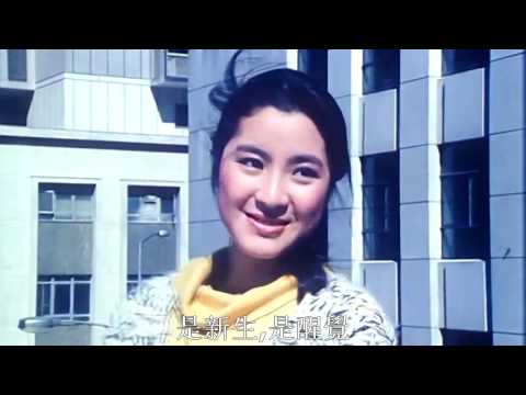 头鹰与小飞象 The Owl VS Bumbo 1984 DVDRip HALFCD 2Audios CHT edit110