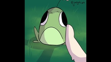 CSSSA application animation