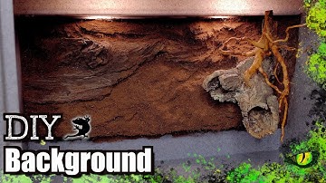 How To Make a DIY 3D Background For Bioactive