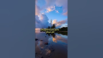تلاوة قصيرة من سورة الأحزاب #quran #تلاوة_خاشعة #القرآن_الكريم