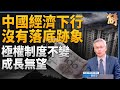 為何中共決策者麻木不知巨大風險將至?制度不變 中國經濟翻身無望?兩度諾獎提名楊小凱「後發劣勢」再被提起!中國各大企業 皆有中共辦公室!國家機會主義橫行!|樊家忠|新聞大破解 【2024年12月30日】