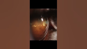 AI That Draws Your Memories