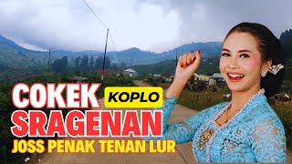 COKEK SRAGENAN CAMPURSARI ENAK DIDENGAR JOSS UNTUK TEMAN PERJALANAN BATANG KE DIENG LEWAT GERLANG