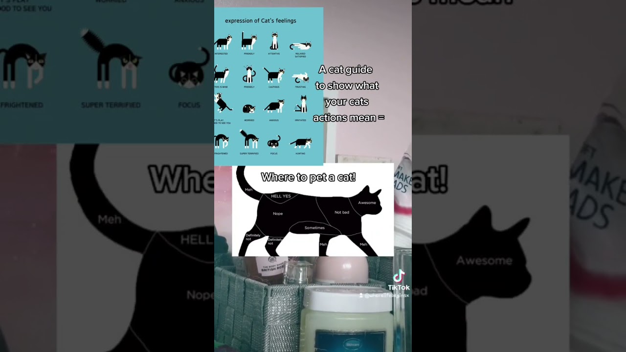 Can we hit 24k again :/  