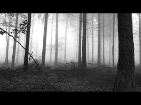 Pheeler — Pheeler - Everything Flows (Bonus Track) - Resopal Schallware