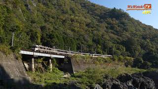 [4K60P]キハ85系特急ワイドビューひだ1号　早朝の飛水峡を行く