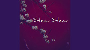 Stecu