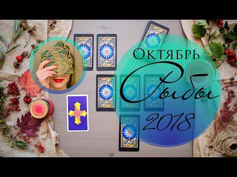 Video: Horoscoop 13 Oktober