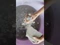 Grey Mud #oddlysatisfying #asmrcrumble #yshorts #asmrsounds #cement #explore