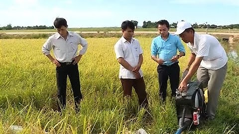 máy bắt chuột bá đạo của lão nông Quảng Bình - sáng chế khoa học