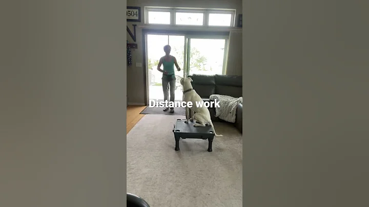 Distance Work. Pedestal, sit, down, 2on/2off, back...