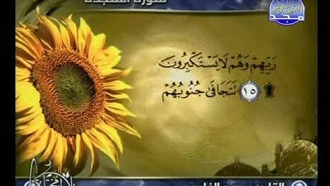 سورة السجدة _ للقارئ سعد الغامدي -تلاوات مختارة-