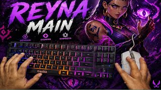 Iron Lobbies ➝ Bronze Grind | Road to Bronze Begins! #valorant #gaming  #live