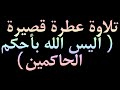 تلاوة عطرة قصيرة أليس الله بأحكم الحاكمين 