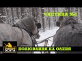 Полювання на самця Оленя. Част 1 | Трофейне Полювання №65