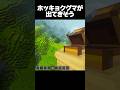 ﾜﾎｰ🐻 #shorts #マイクラ #マインクラフト