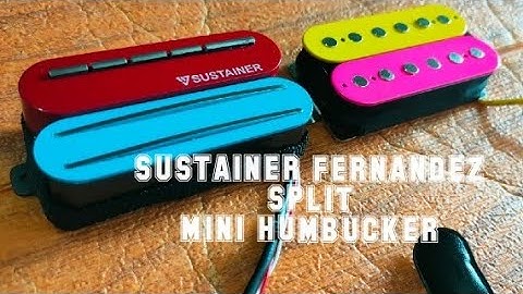 PICKUP SUSTAINER Fernandez || custom || order bos philipines || sustainer pickup || veyz
