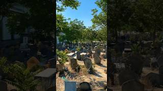 سفیدچال؛ بهشتی پنهان در مازندران 🌿Sefidchal | Hidden Paradise of Iran🌿