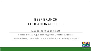 Beef Brunch Education Series – What’s Bugging You? Part 1 with Dr. Sebe Brown