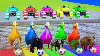 Long Slide Game with Colourful Duck Cow Tiger Gorilla Dog Elephant 3d Animal Game Funny 3d Animals screenshot 2