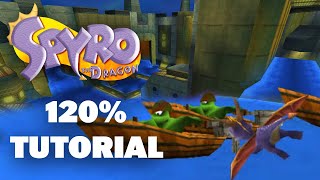 Wild Flight Speedrun Tutorial / Breakdown