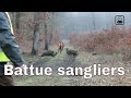 Battue aux sangliers dans le Loir et Cher (4K) - Hunting wild boar in France