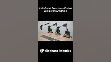 myArm M750 | Dive into the world of #multi-robot coordination with 6 DOF collaborative #robot #tech
